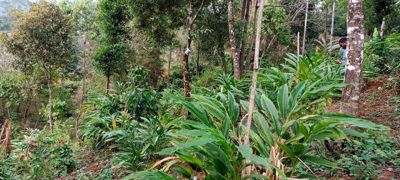 Munnar Tent Hills Resort Devikolam ภายนอก รูปภาพ