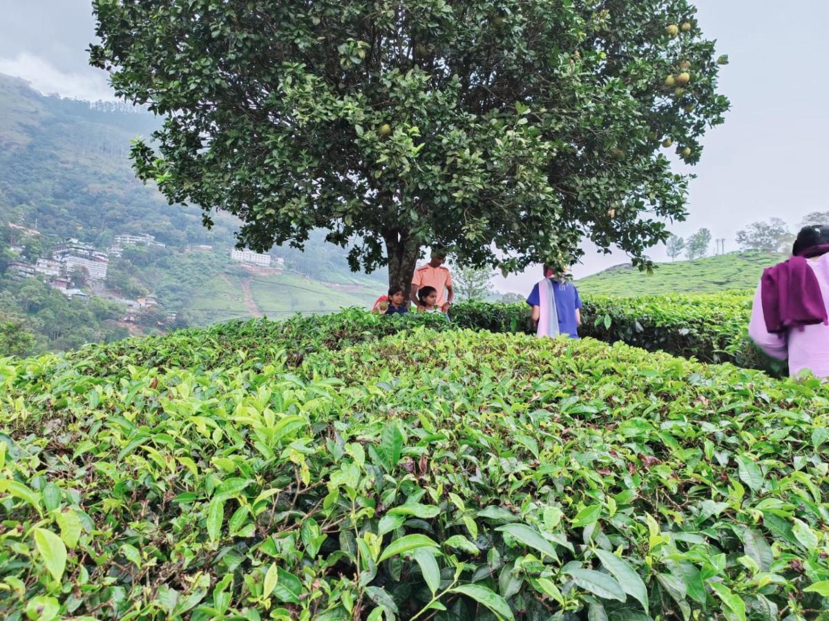 Munnar Tent Hills Resort Devikolam ภายนอก รูปภาพ